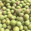 斉藤貴彦