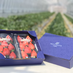 栃木限定スカイベリー1箱約４人分（1パック5〜8粒入り×2）