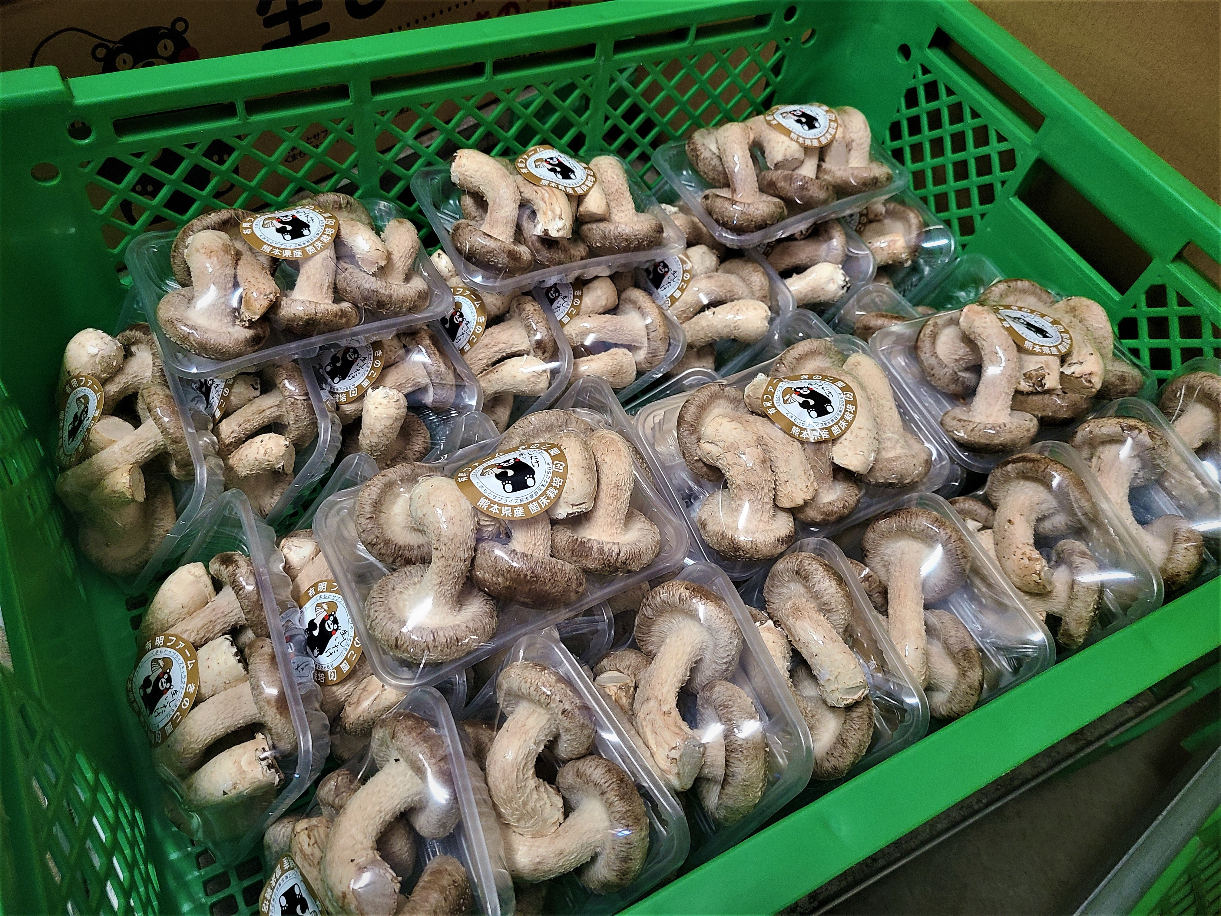 送料無料クール便配送 熊本県産生椎茸 菌床栽培 100g Aパック品 90個 農家漁師から産地直送の通販 ポケットマルシェ