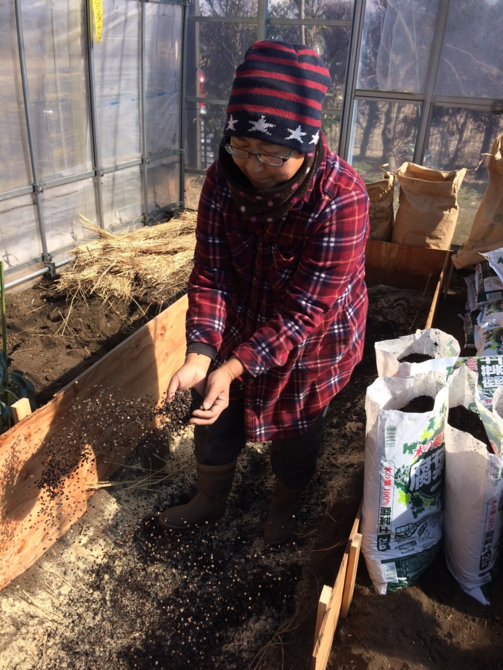 東富士山麓 チームmaroの通販 石川ゆかりさん 農家漁師から産地直送の通販 ポケットマルシェ