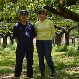 川添康史 | PEAR FARM  KAWAZOE