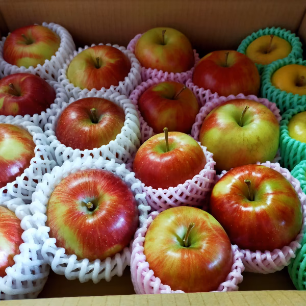葉とらず栽培　おすすめりんご詰め合わせ　家庭用
