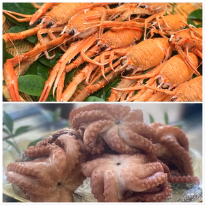 バルタン星人のようなハサミをもつガシャエビとトロダコ‼️