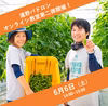 【オンライン教室第二弾つき！】ビールのおつまみ野菜「遠野パドロン」