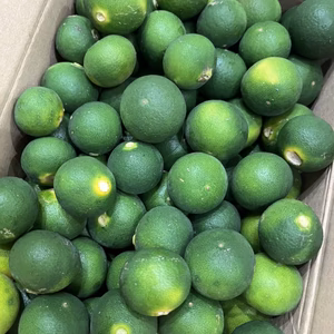 まっちゃん農園の青みかん（摘果みかん）　栽培期間中•農薬不使用