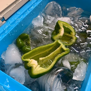 【関西一の生産地、朝採れ「たじまのピーマン」をお届け】☆3ｋｇ☆