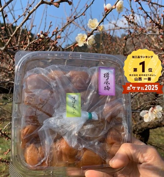 うめよしの訳あり南高梅すっぱくないよ300g×2〜 すっぱくないよ梅干 300g×3