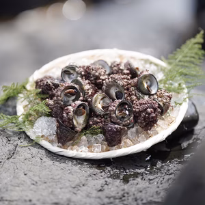 鮮度抜群！ シッタカみな 1kg(約30〜35個)  ※唐津 玄界灘産※