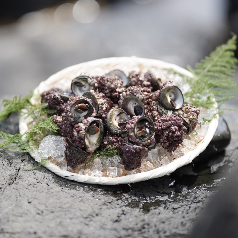 鮮度抜群 シッタカみな 1kg 約30 35個 唐津 玄界灘産 農家漁師から産地直送の通販 ポケットマルシェ