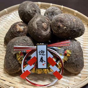 ⭐️お正月用 発送期間限定⭐️掘りたて❗愛媛産 純白の里芋