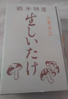 肉厚！原木しいたけ　6~8個入り×3パック　