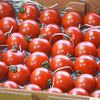 希トマト糖度9度【1kg】