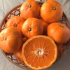ナチュラルテイスト！温州みかん【農薬不使用】3kg