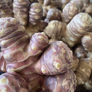 【自然栽培・完全無農薬】イヌリンたっぷり紫菊芋