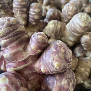 【自然栽培・完全無農薬】イヌリンたっぷり紫菊芋