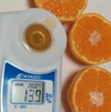 有田みかん【超絶チビチビみかん】3.5kg(箱込)糖度14度前後　送料無料 80