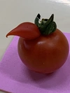 超お買い得‼️【大大大収穫祭】ぴちぴちトマト