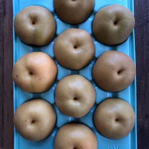 豊水　家庭用5㎏超特大10玉　4Lサイズ超