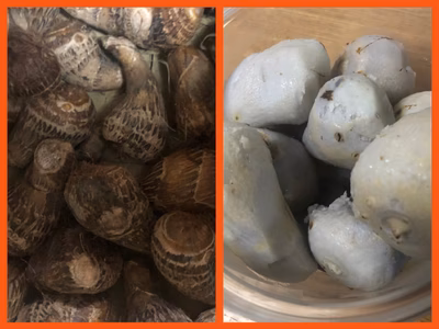 みんなの投稿の画像