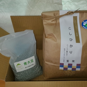 農家の穀物セット！！(玄米)特別栽培コシヒカリ(玄米)と青大豆の詰め合わせ
