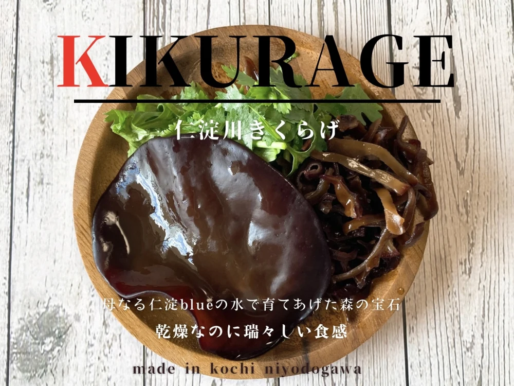 【ネコポス配送】高知県産黒きくらげ&白きくらげ 食べ比べ小袋4点セット