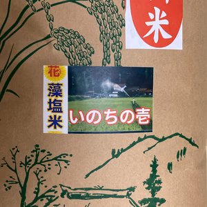 いのちの壱　(超大粒)☆　酵素散布米　いのちの壱 白米5キロ