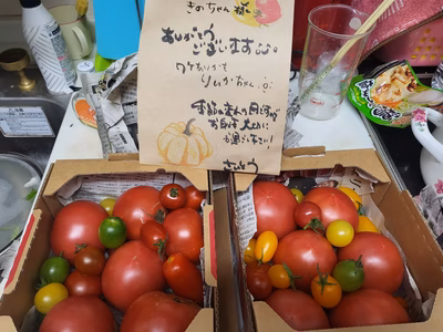 みんなの投稿の画像