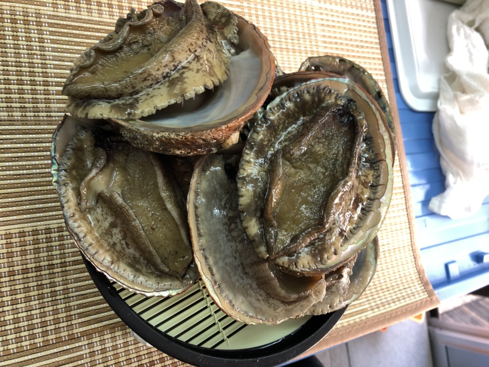 1 2キロから1 5キロ分訳あり白アワビ 農家漁師から産地直送の通販 ポケットマルシェ