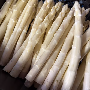 ホワイトアスパラ　Lサイズ1キロ　香川県産「さぬきのめざめ」