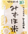 R5産 有機JASみずほ米 ひとめぼれ 白米 無化学肥料・無農薬