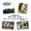 【送料無料】2023年 新茶 王道と伝統 猿島茶セット