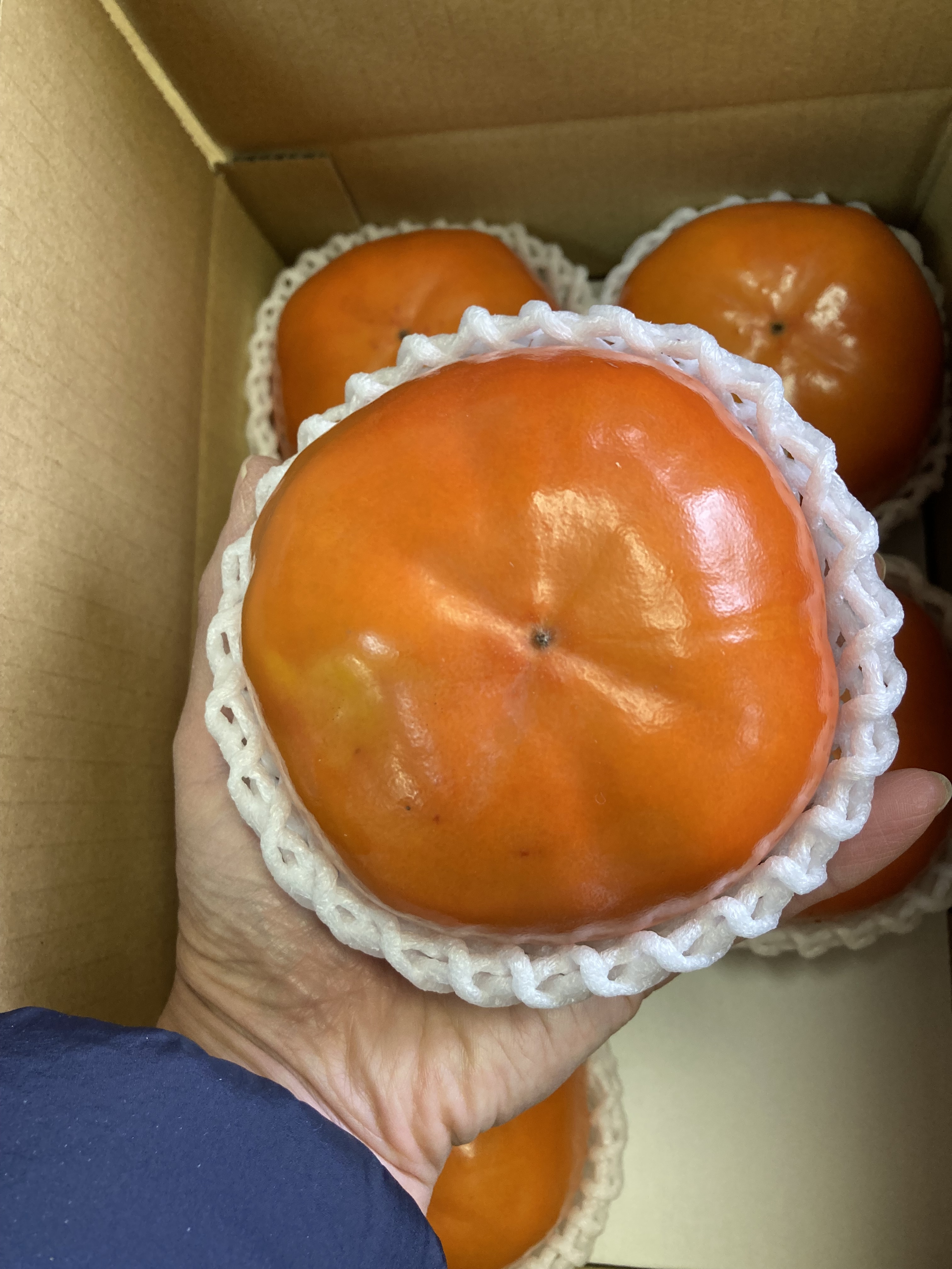 オススメ♪大玉陽豊柿(甘柿) 3Lサイズ5個