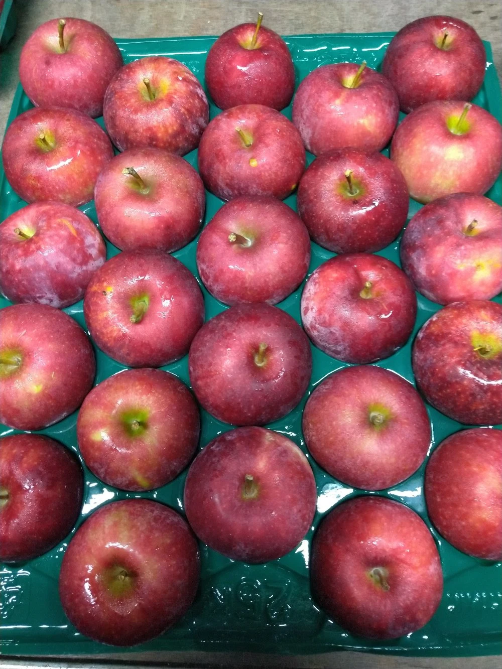 クール便❗️毎月１回お届け✨　旬のりんご 小玉家庭用
