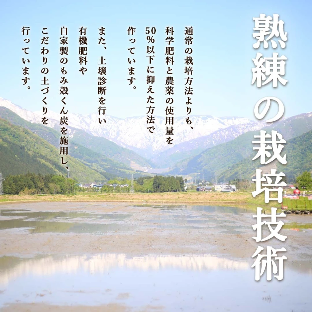 まるで炊き立て！南魚沼産コシヒカリのパックごはん