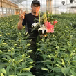 池野博聡