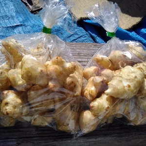 糖尿病に効くと噂の菊芋