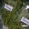 【菜花】南房総から採れたてをお届け