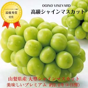 皮ごとパクリ！とっても甘くて美味しいプレミアム‼ 高級シャインマスカット 