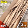 【贈答用】砂丘ながいも　長芋　とりたて 3kg 5kg 10kg　山芋　とろろ