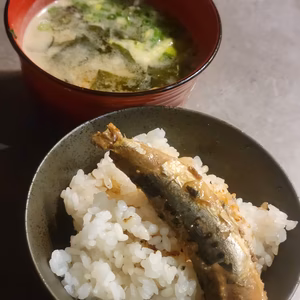 新米コシヒカリ！(玄米or精米)農薬化学肥料不使用！