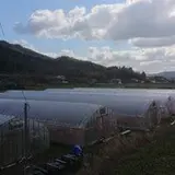 高橋孝明