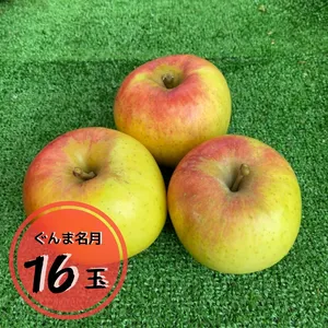 【贈答用】りんご（ぐんま名月）16玉箱入