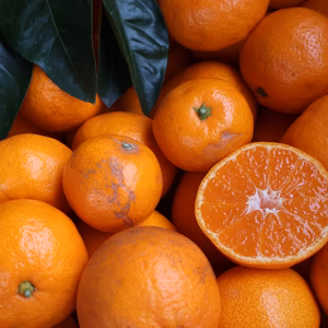 【2026年1月発送】農家直送！有田みかん 2Kg～≪訳あり≫【平武農園】