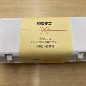 【数量限定】若鶏が産む　初たまご　八ヶ岳・平飼い・有精卵 「出産祝い・長寿祈願」