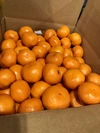 最終値下げ価格☆果汁100％ 柑橘ジュース180ml×５本または12本