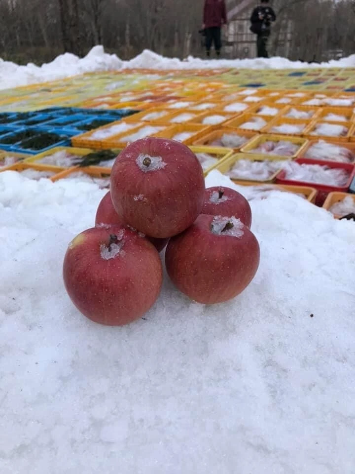 雪の下りんご「サンふじ」3ｋｇ（１１玉）