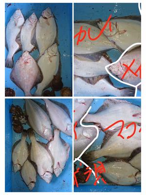 みんなの投稿の画像