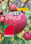 【スマートフレッシュ済み】サンふじ 完熟りんご　サイズおまかせ