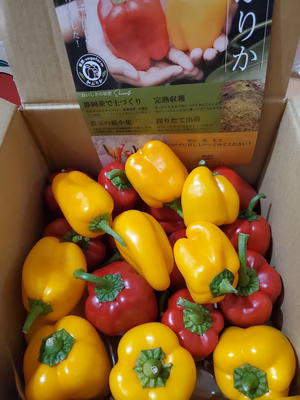 みんなの投稿の画像