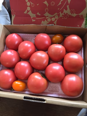 みんなの投稿の画像